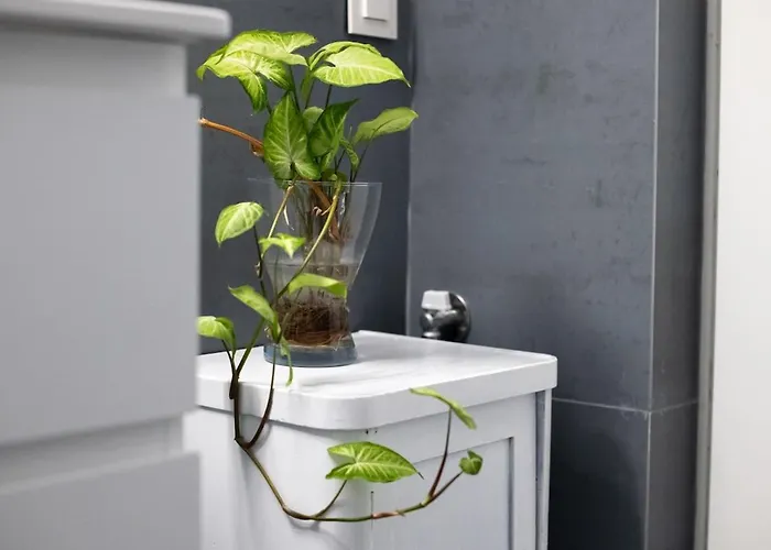 Апартаменты Perivola *